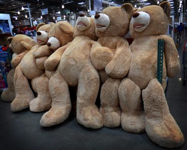10 Tips for Purchasing a Giant Teddy Bear Online