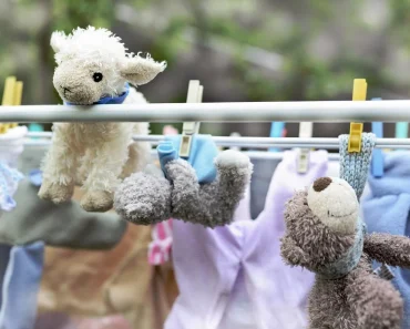 How to Clean and Care for Teddy Bear