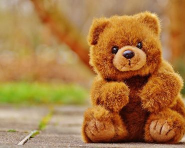 Reasons Why Kids Absolutely Love Teddy Bears
